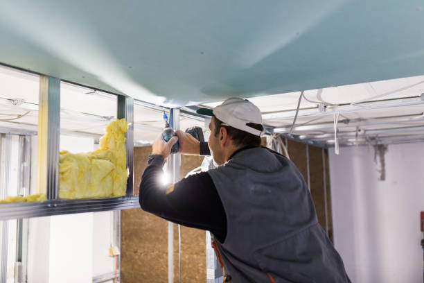 Types of Insulation We Offer in IL